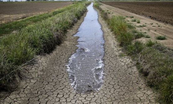 La Provincia continúa impulsando medidas de apoyo al sector agropecuario