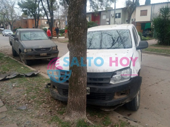 Se estrelló contra un árbol tras chocar a dos autos estacionados 